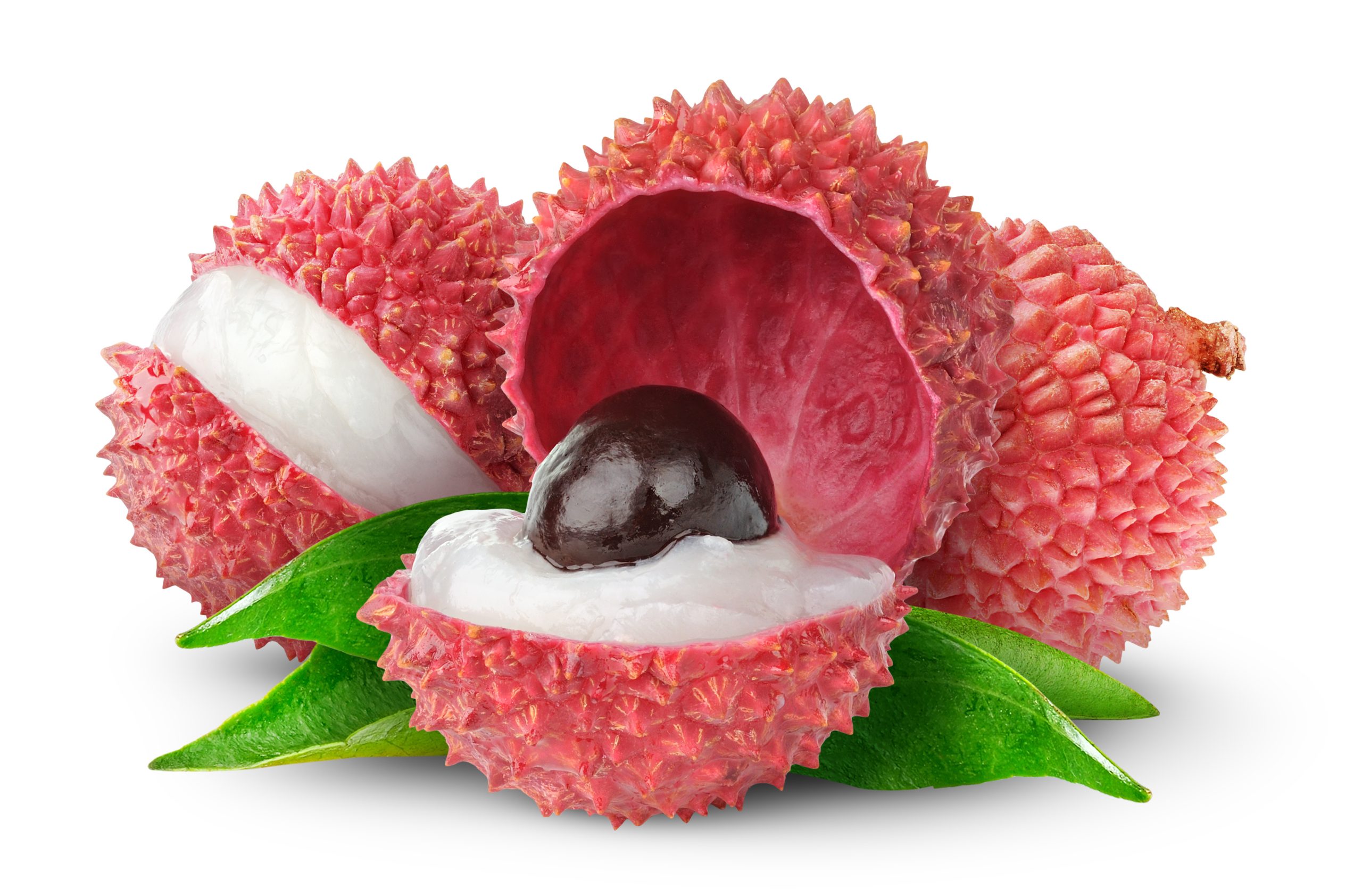 Litchi nut foods that start with L
